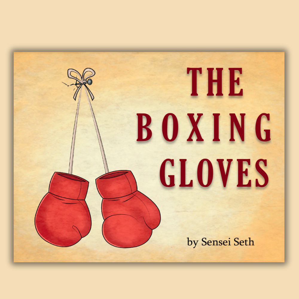 "The Boxing Gloves" Hardcover Children's Book by Sensei Seth